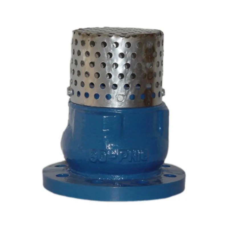 Cast Iron and Ductile Iron Foot Valve