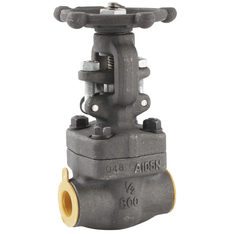 Forged Steel Gate Valve with Screwed and SW End