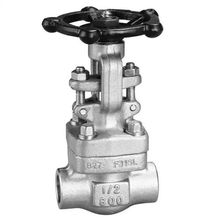forged gate valve 3