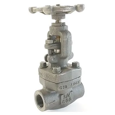 Forged Steel Globe Valve with Screwed and SW End
